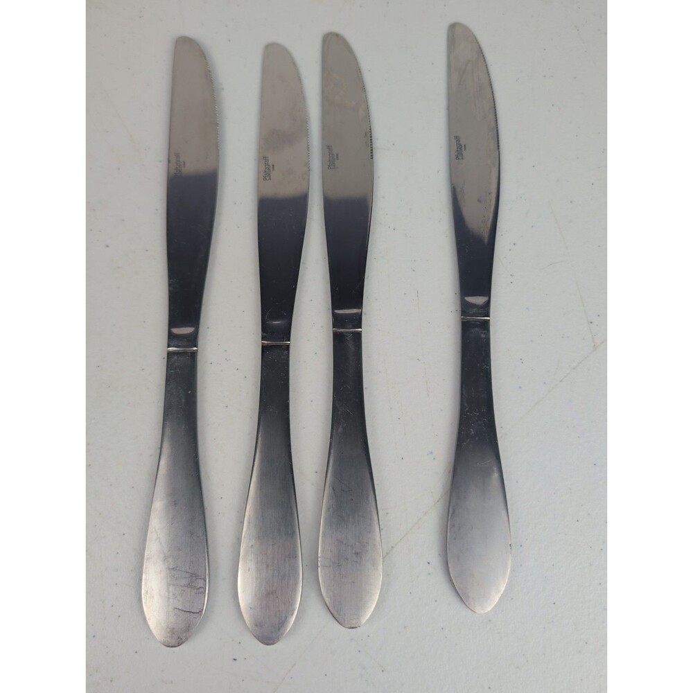 Pfaltzgraff 18/10 Stainless Steel SALISBURY SATIN Lot of 4 Dinner Knives 9 3/8"